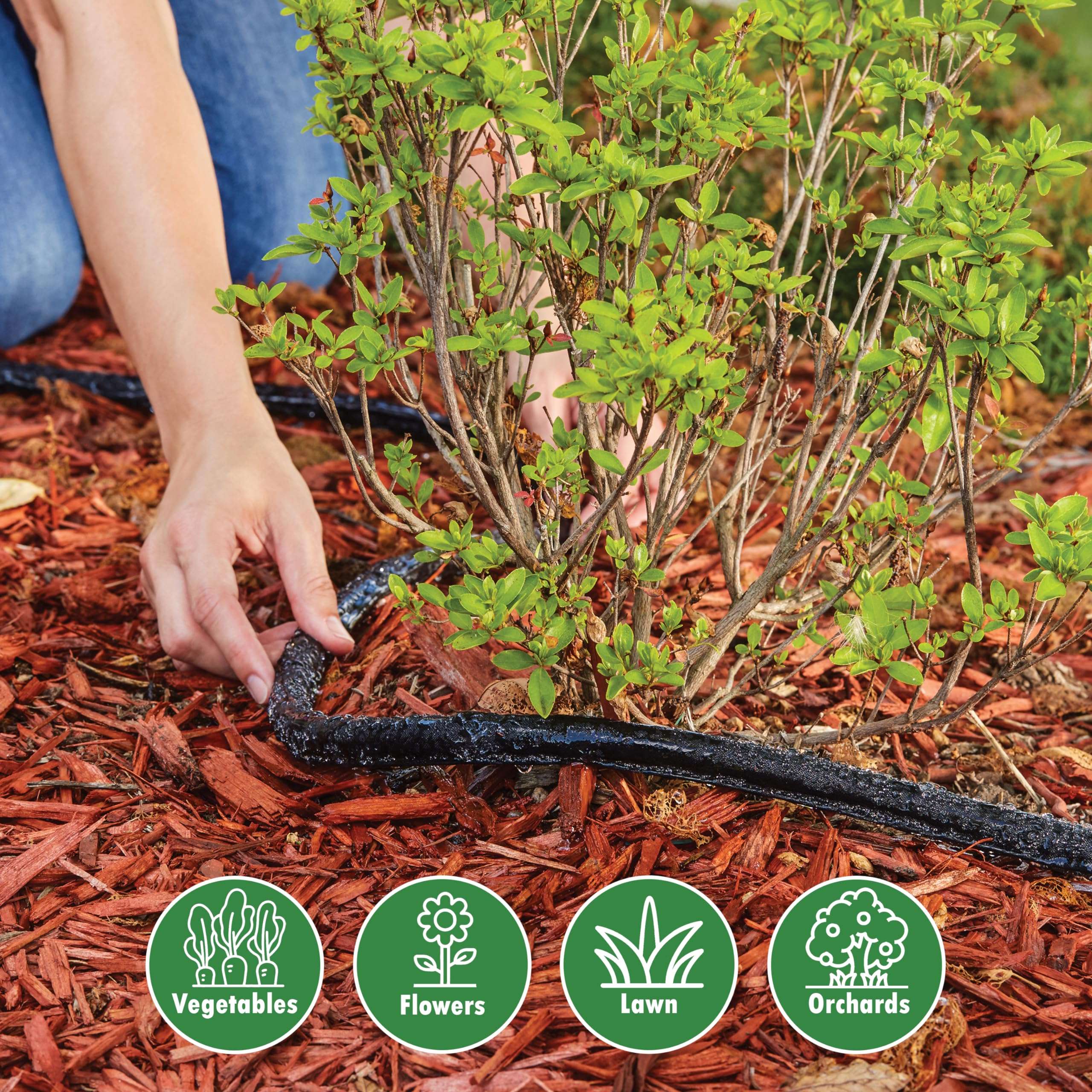 Gilmour 50' Black Flat Weeper Soaker Hose for Garden Beds, Drip Irrigation Outdoor Hose, Flexible Garden Hose for Vegetable Gardens, Flower Beds, Lawns, and Orchards - Image 6