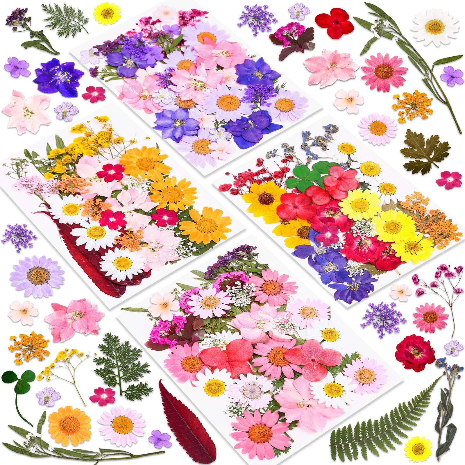 140 Pcs Dried Pressed Flowers for Resin, Real Pressed Flowers Dry Leaves Bulk Natural Herbs Kit for Scrapbooking DIY Art Crafts, Epoxy Resin Jewelry Molds, Candle, Soap Making, Nails Décor - Image 1