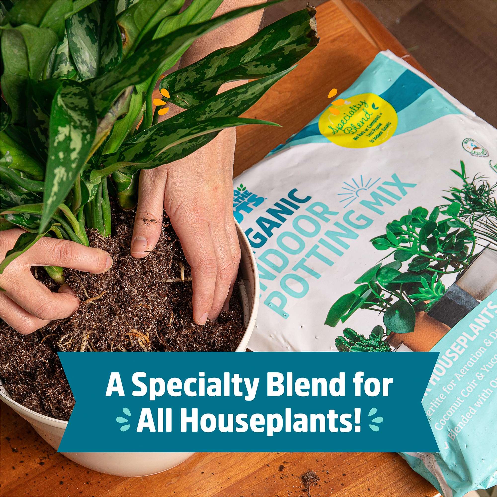 Back to the Roots 100% Organic Indoor Potting Mix (6 Quart), Promotes Healthy Houseplant Growth, Made in The USA - Image 4