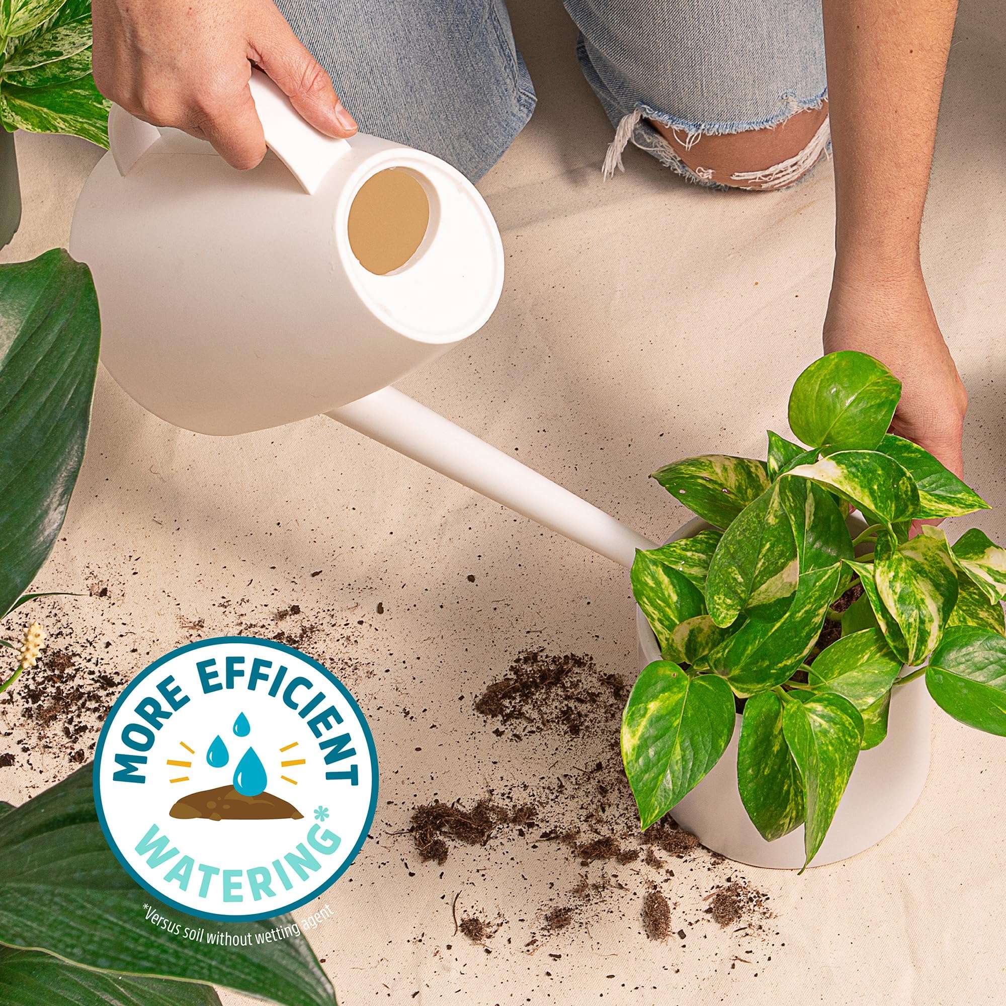 Back to the Roots 100% Organic Indoor Potting Mix (6 Quart), Promotes Healthy Houseplant Growth, Made in The USA - Image 6
