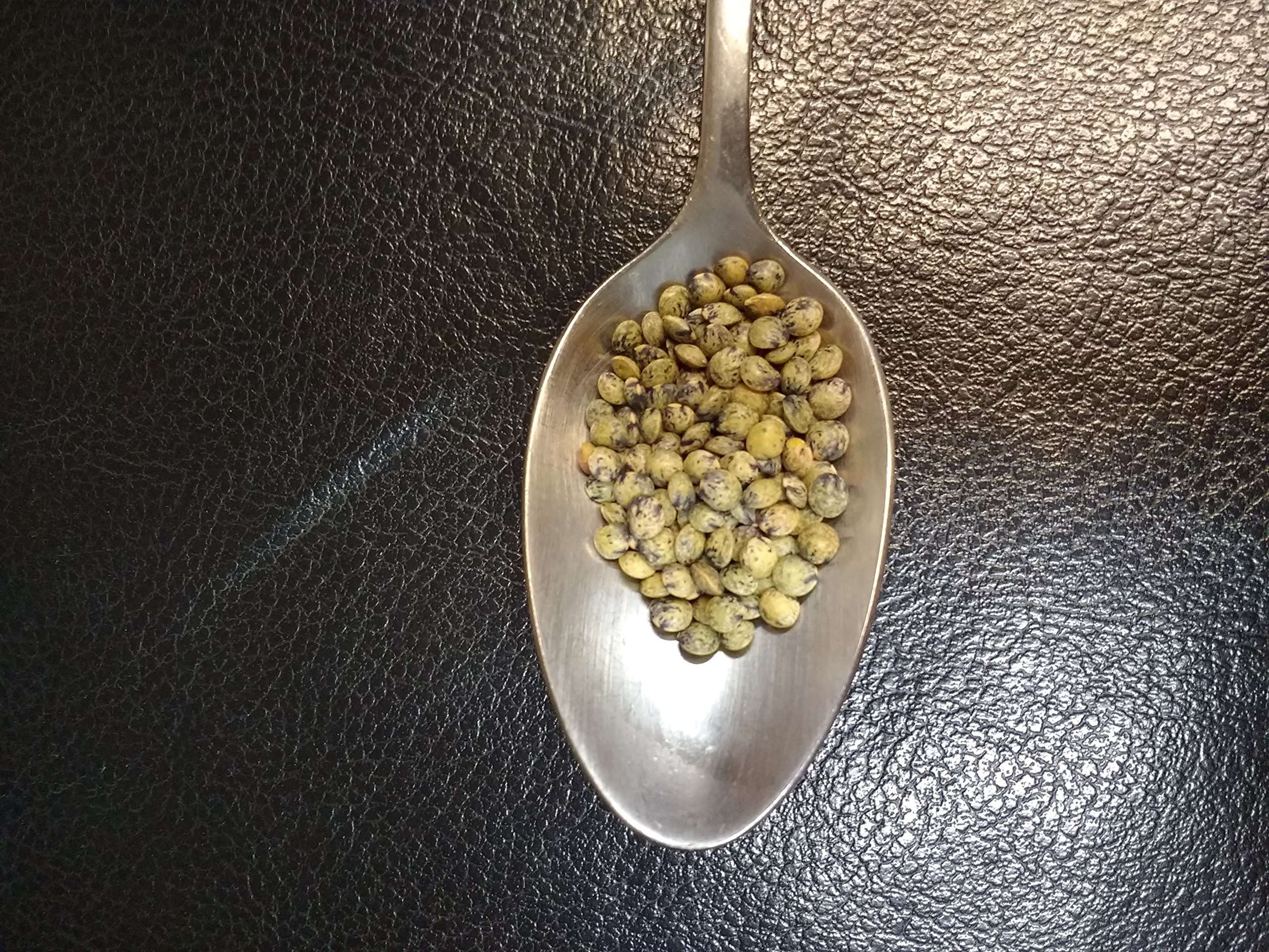 French Green Lentils 5 Pounds Petite, USDA Certified Organic, Non-GMO Bulk, Product of USA, Mulberry Lane Farms - Image 3
