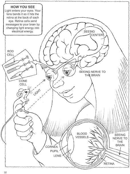My First Book About Physics (Dover Science For Kids Coloring Books) - Image 11