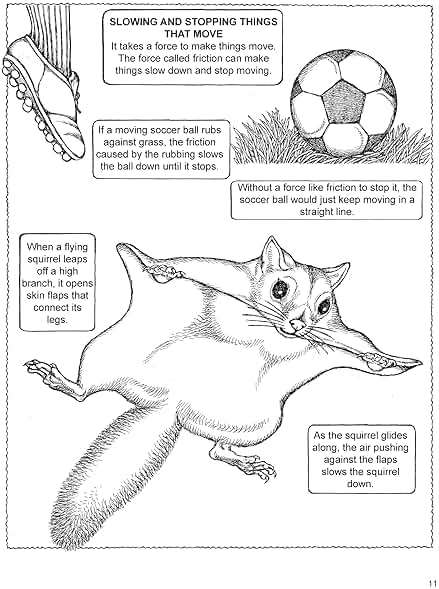 My First Book About Physics (Dover Science For Kids Coloring Books) - Image 6