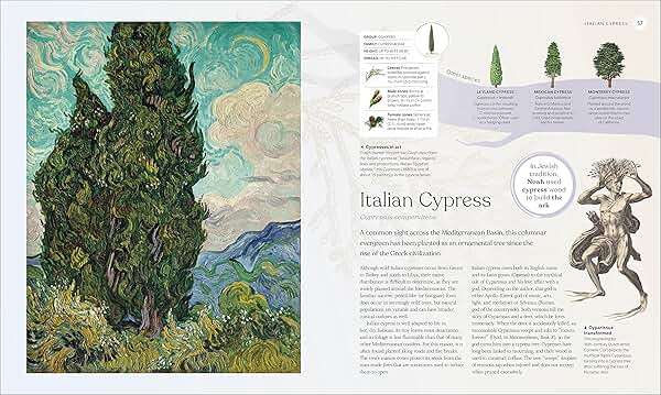 The Tree Book: The Stories, Science, and History of Trees - Image 2