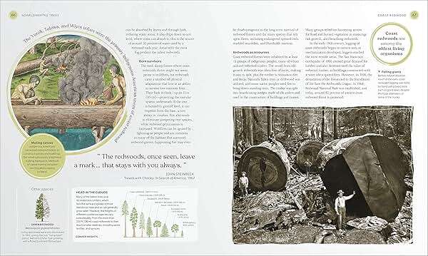 The Tree Book: The Stories, Science, and History of Trees - Image 4
