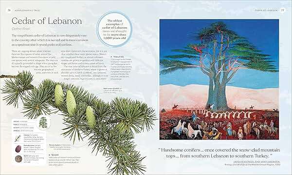 The Tree Book: The Stories, Science, and History of Trees - Image 5