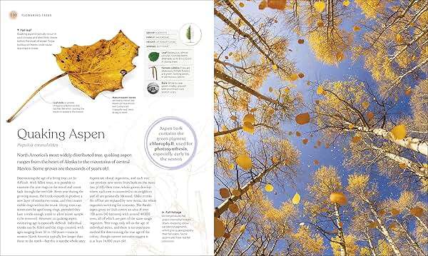 The Tree Book: The Stories, Science, and History of Trees - Image 8