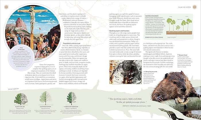 The Tree Book: The Stories, Science, and History of Trees - Image 9