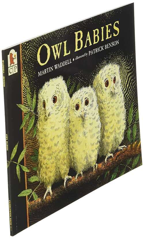 Owl Babies - Image 2