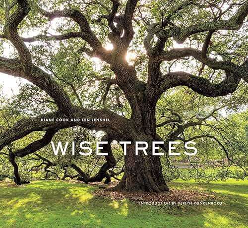 Wise Trees: Ancient trees photographed worldwide, each holding centuries of history in gnarled bark and roots. - Image 1