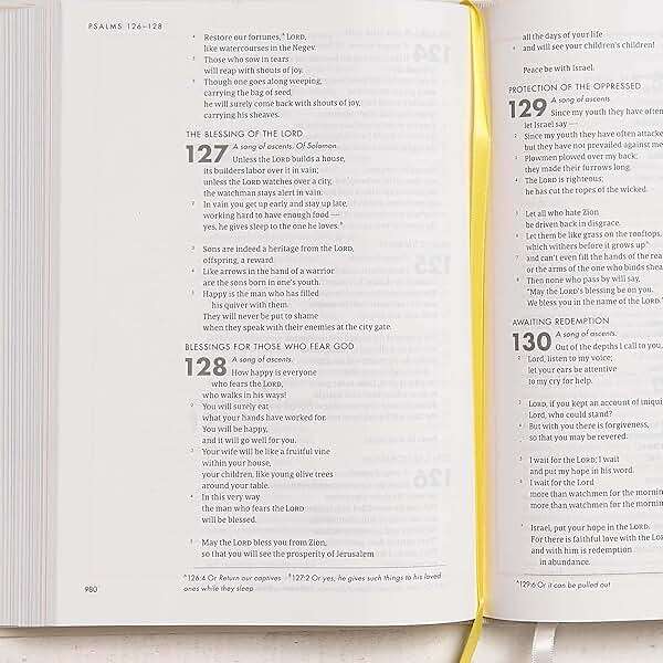 CSB She Reads Truth Bible, Hardcover, Black Letter, Full-Color Design, Wide Margins, Notetaking Space, Devotionals, Reading Plans, Two Ribbon Markers, Sewn Binding, Easy-to-Read Bible Serif Type - Image 11