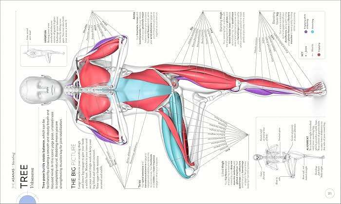 Science of Yoga: Understand the Anatomy and Physiology to Perfect Your Practice - Image 3