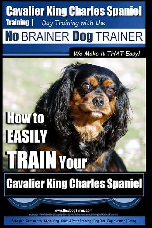 Cavalier King Charles Spaniel Training | Dog Training with the No Brainer Dog Trainer ~ We Make it THAT Easy!: How to EASILY TRAIN Your Cavalier King Charles Spaniel - Image 1
