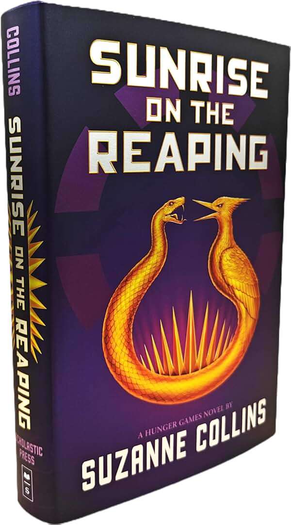 Sunrise on the Reaping (the Hunger Games) - Image 4