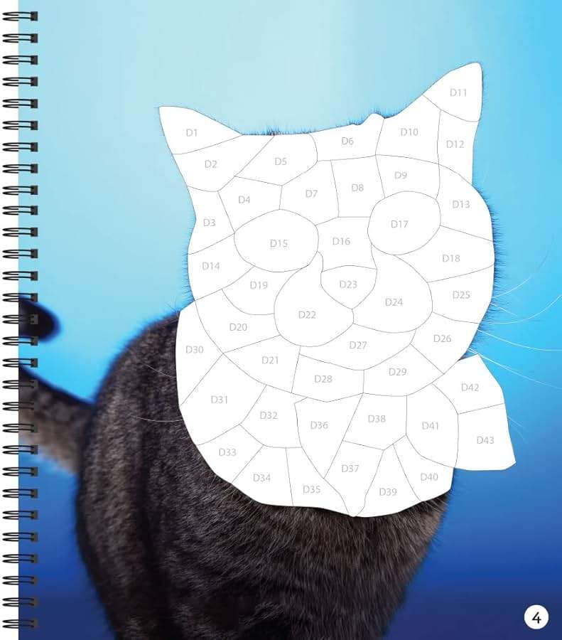 Brain Games - Sticker by Number: Cat-itude (25 Images to Sticker) - Image 3
