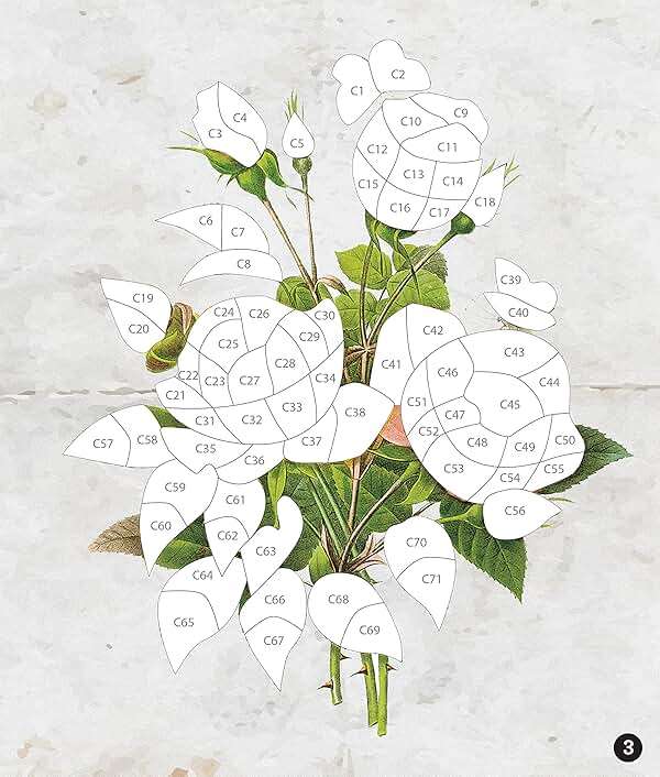 Brain Games - Sticker by Number - Vintage: Flowers (28 Images to Sticker) - Image 3