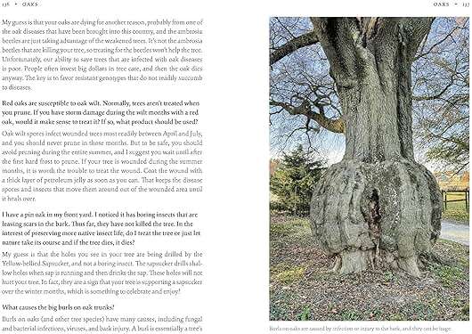 How Can I Help?: Saving Nature with Your Yard - Image 5