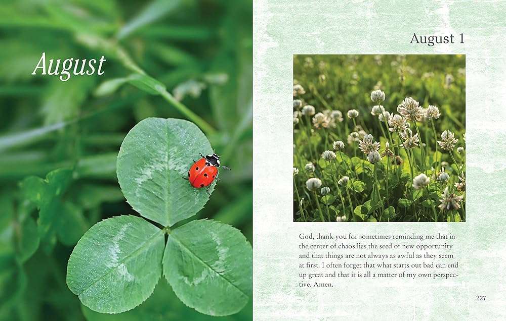 Prayers for Strength and Healing (Deluxe Prayer Book) - Image 5