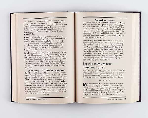 The Book of Criminal Minds: Forgeries, Robberies, Heists, Crimes of Passion, Murders, Money Laundering, Con Artistry, and More - Image 7