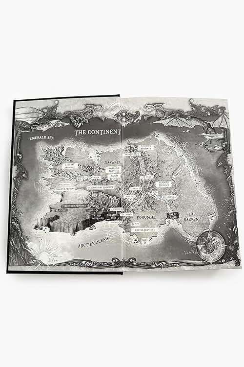 Iron Flame (Standard Edition) (The Empyrean, 2) - Image 2