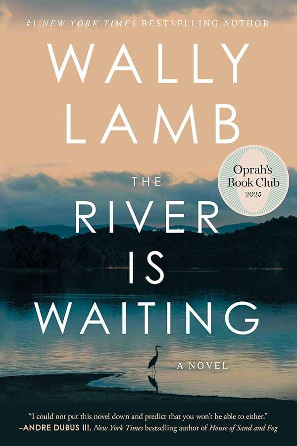 The River Is Waiting (Oprah's Book Club): A Novel - Image 1