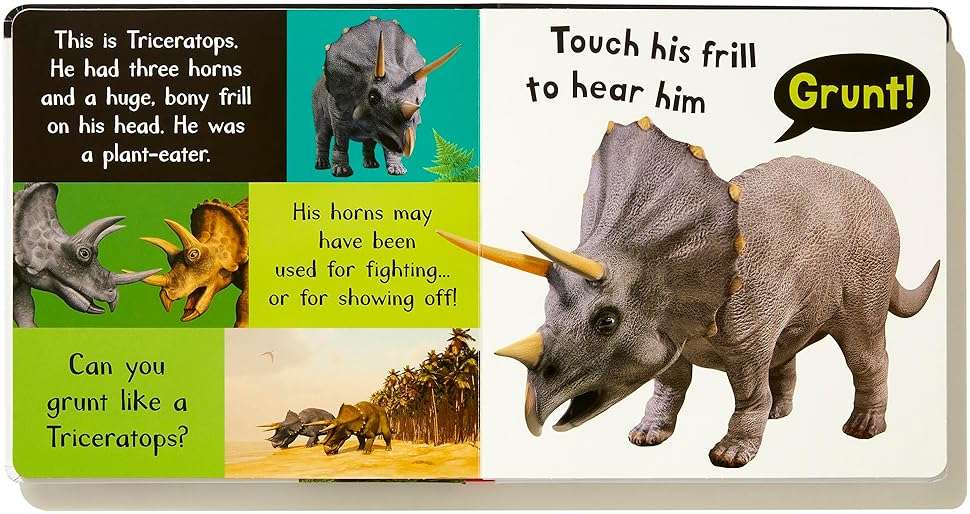 Noisy Dinosaurs: Includes 6 Sounds and an On/Off Switch on the Back Cover! (My First) - Image 4