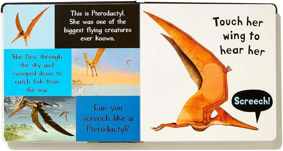 Noisy Dinosaurs: Includes 6 Sounds and an On/Off Switch on the Back Cover! (My First) - Image 5