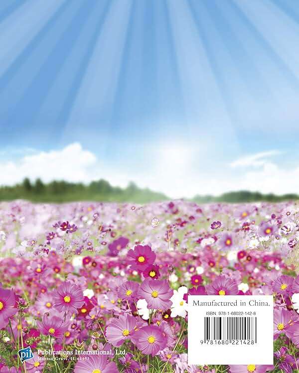Daily Gratitude (Deluxe Prayer Book) - Image 2
