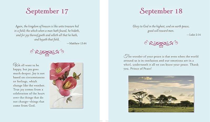Daily Gratitude (Deluxe Prayer Book) - Image 5