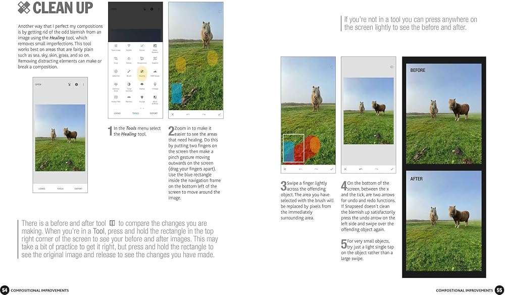 Smart Phone Smart Photo Editing: A complete workflow for editing on any phone or tablet using Snapseed - Image 4