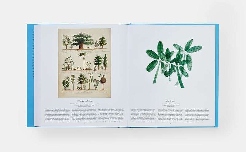 Tree: Exploring the Arboreal World - Image 12