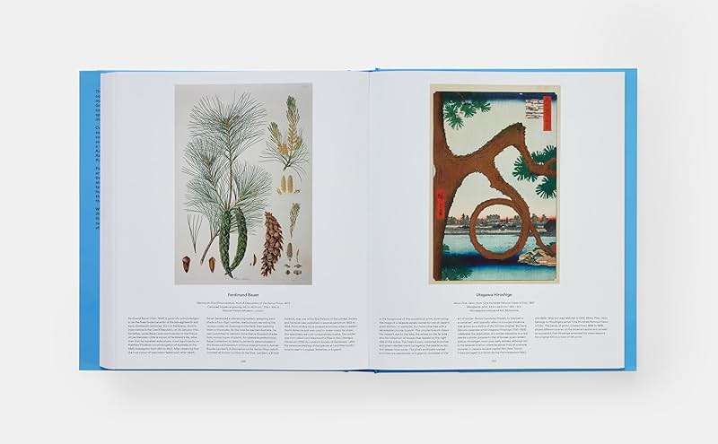 Tree: Exploring the Arboreal World - Image 13