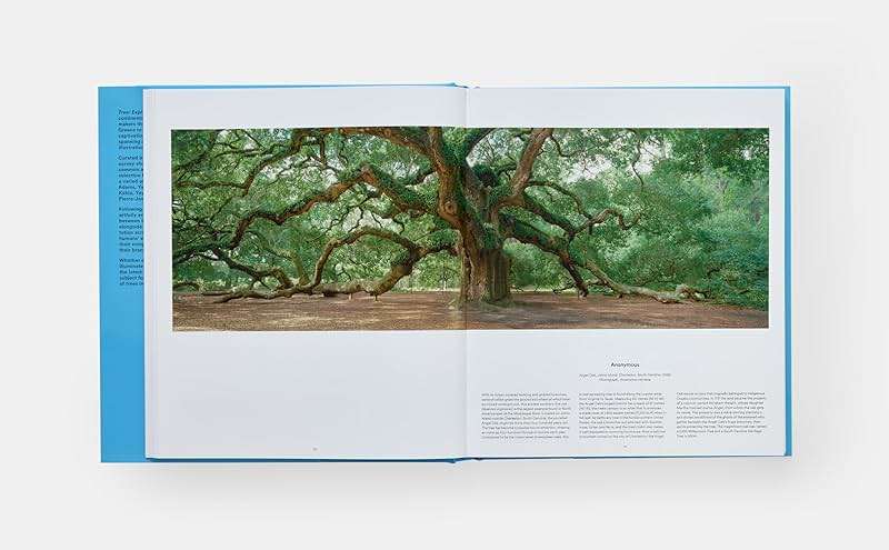 Tree: Exploring the Arboreal World - Image 6