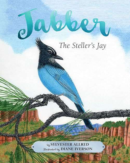 Jabber the Steller's Jay - Image 1