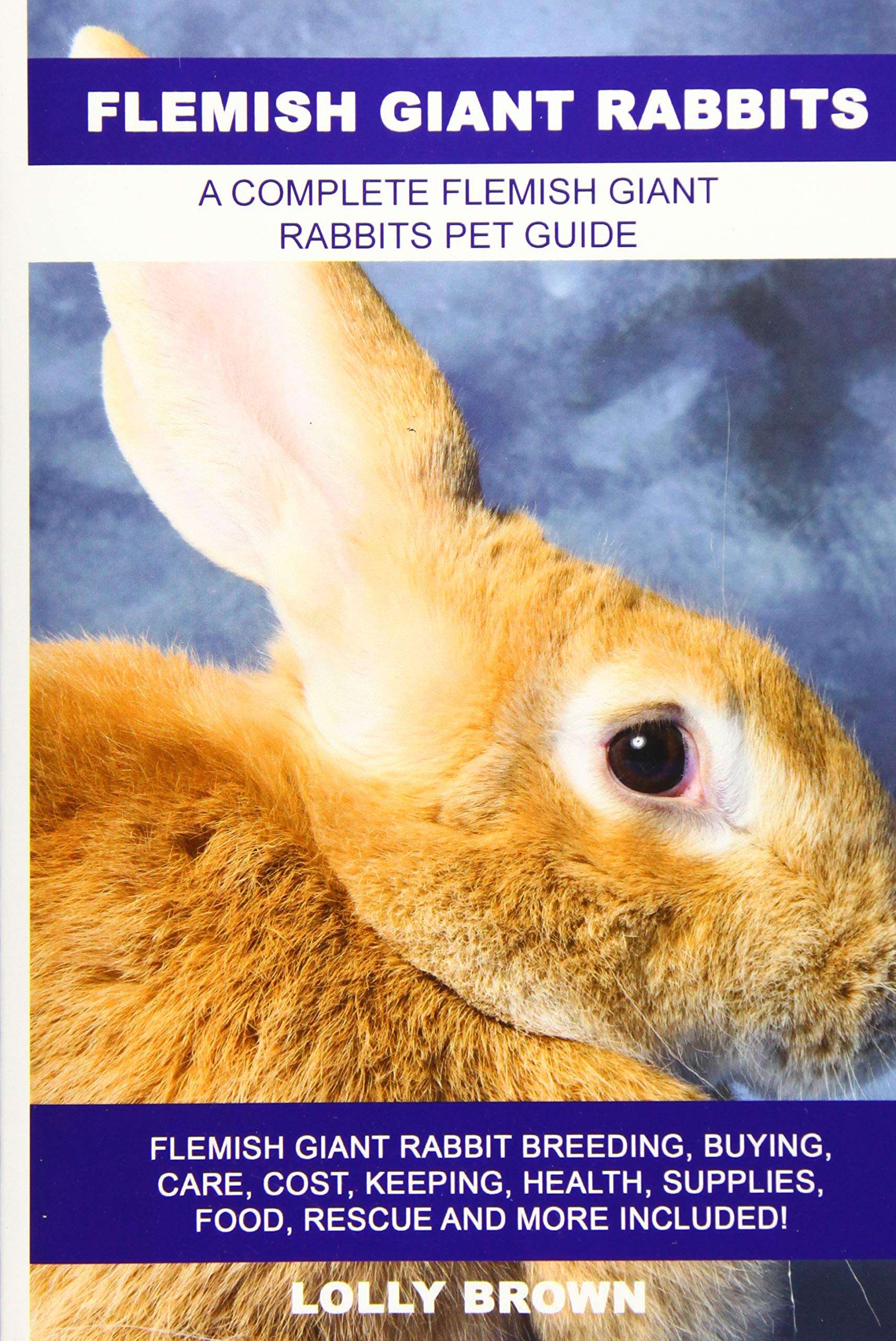 Flemish Giant Rabbits: Flemish Giant Rabbit Breeding, Buying, Care, Cost, Keeping, Health, Supplies, Food, Rescue and More Included! A Complete Flemish Giant Rabbits Pet Guide - Image 1