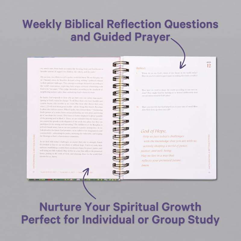 A Beautiful Year in the Bible: The 52-Week Bible Study for Women - Image 3