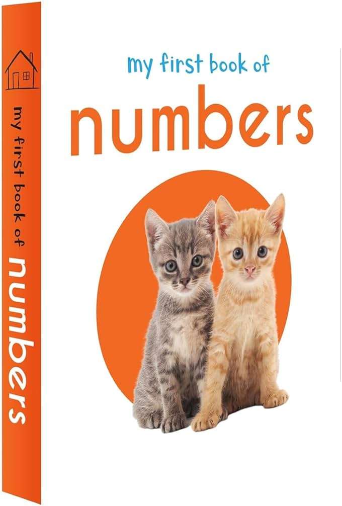 My First Library: Boxset of 10 Board Books for Kids - Image 5