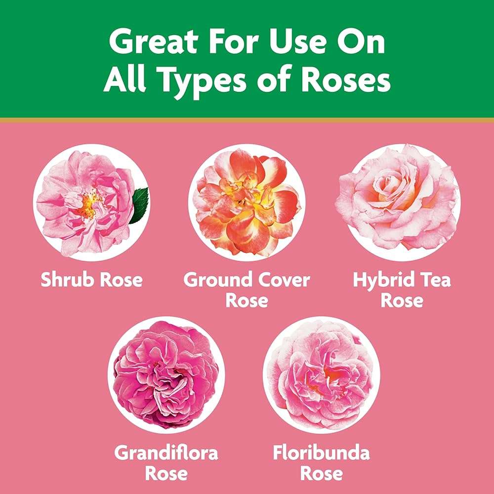 Miracle-Gro Water Soluble Rose Plant Food, 1.5 lb - Image 4