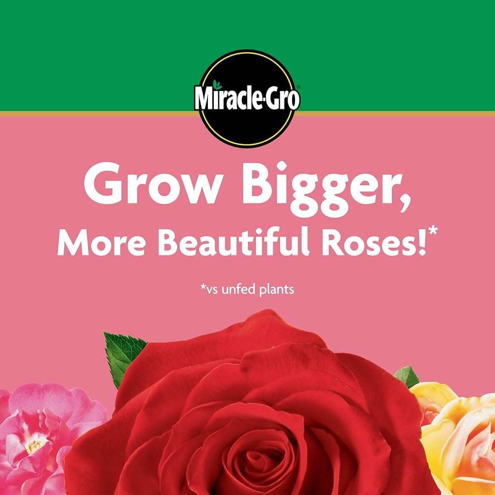 Miracle-Gro Water Soluble Rose Plant Food, 1.5 lb - Image 6