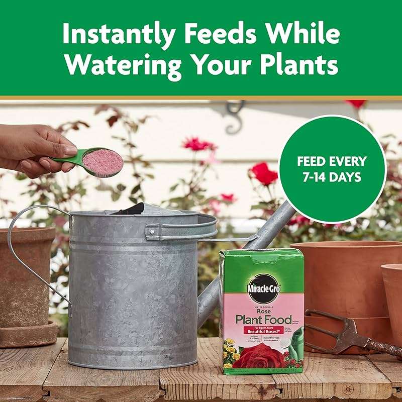 Miracle-Gro Water Soluble Rose Plant Food, 1.5 lb - Image 8