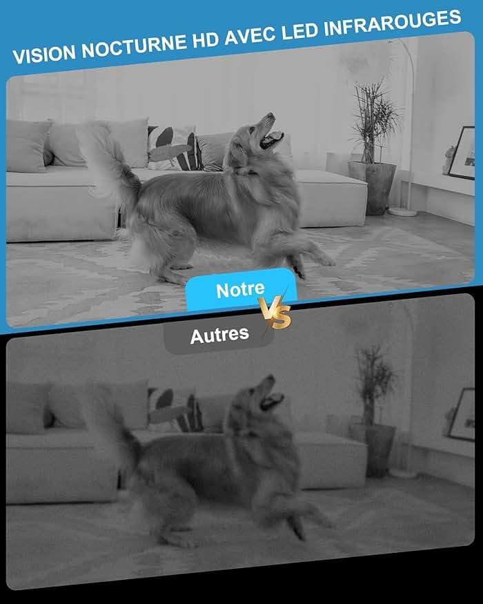 The Lord of the Rings - The Fellowship of the Ring [VHS] - Image 3