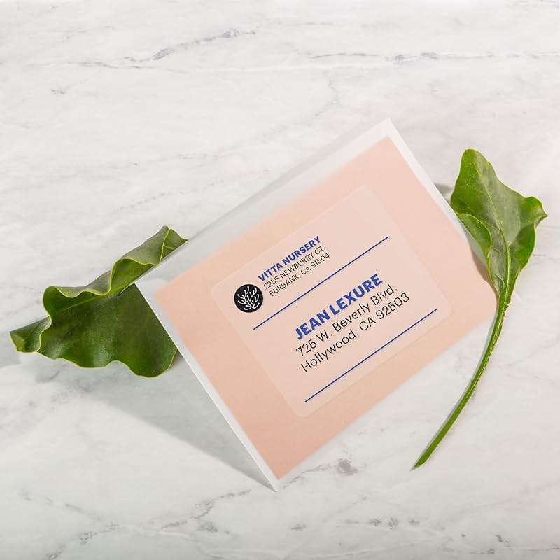 Avery Printable Shipping Labels with Sure Feed, 2" x 4", Matte Clear, 500 Blank Mailing Labels (5663) - Image 2