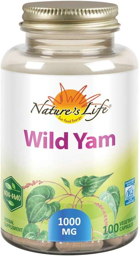 Nature's Life Wild Yam 1000mg Herbal Supplement | Womens Health Formula | with Diosgenin for Healthy Balance Support | Non-GMO | 100 Veg Caps - Image 1