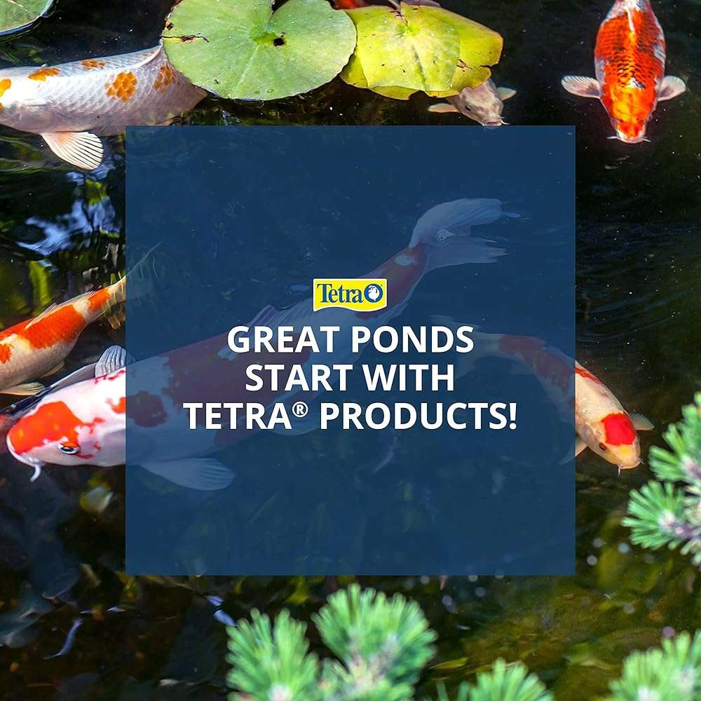 TetraPond Koi Growth 4.85 Pounds, Soft Sticks, Pond Fish Food - Image 6