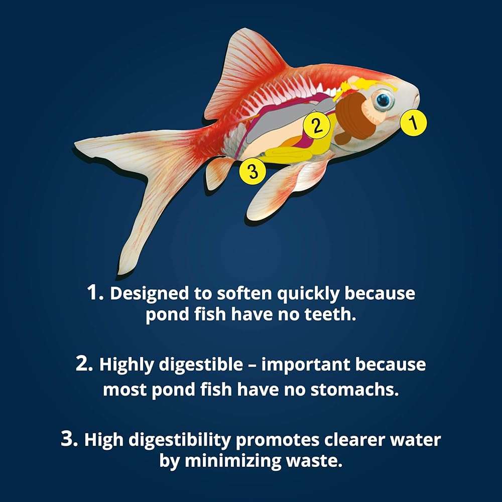 TetraPond Variety Blend, Pond Fish Food, for Goldfish and Koi Yellow 2.25 Pound (Pack of 1) - Image 8
