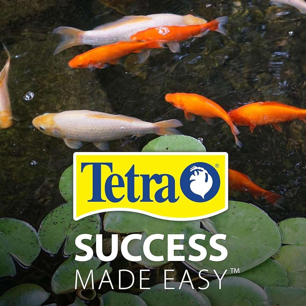 TetraPond Variety Blend, Pond Fish Food, for Goldfish and Koi Yellow 2.25 Pound (Pack of 1) - Image 10