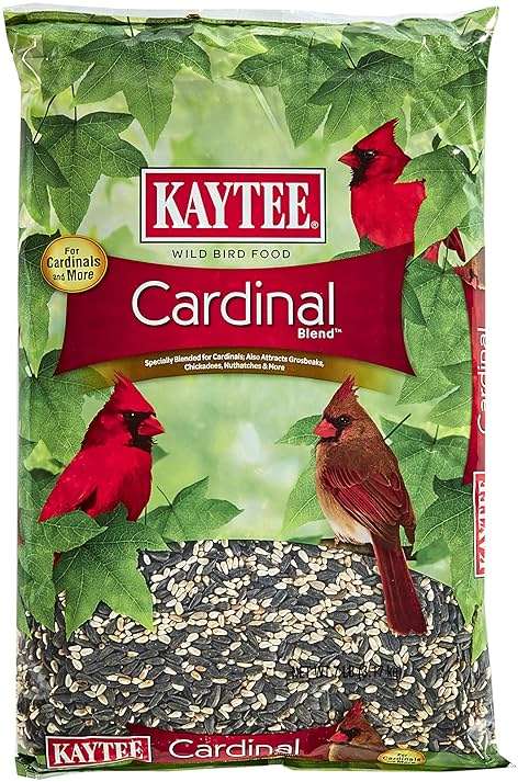 Kaytee Cardinal Wild Bird Seed, 7 lb - Image 1