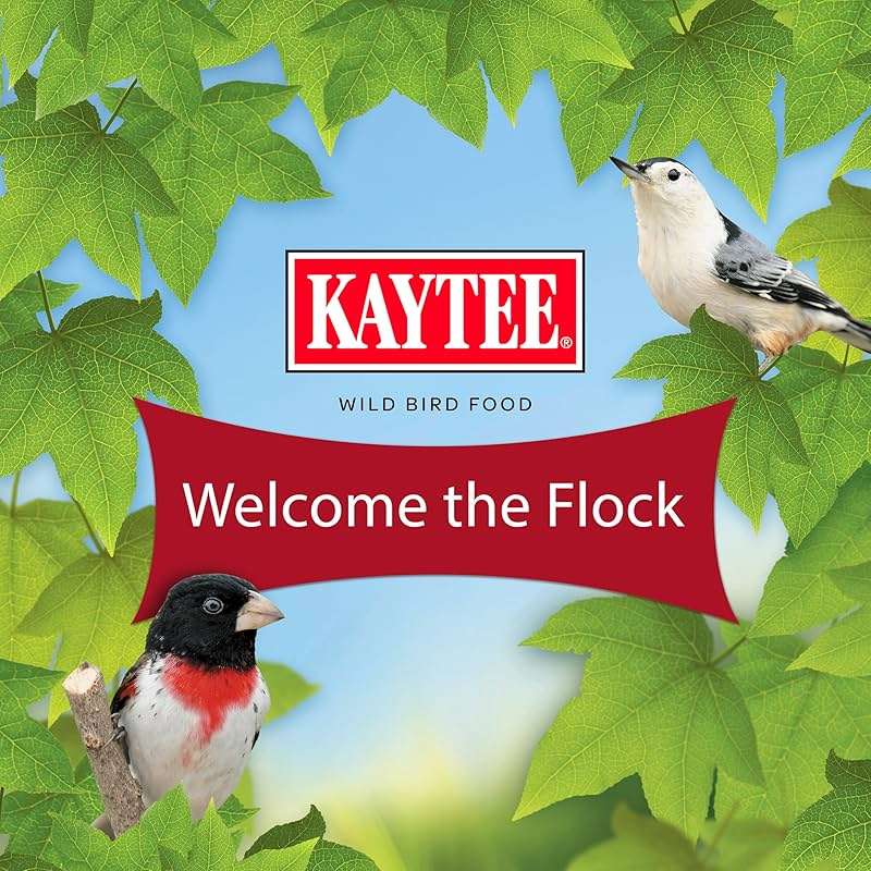 Kaytee Cardinal Wild Bird Seed, 7 lb - Image 14