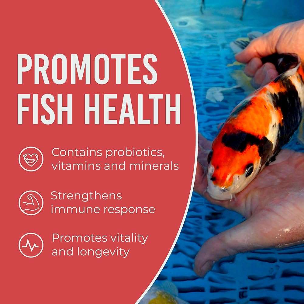 Blue Ridge Koi Fish Food 2lb - Koi Food Mini Growth Formula, Goldfish Food, Premium Fish Food for Ponds, Ponds Fish Food, Floating Pond Pellets - Image 6