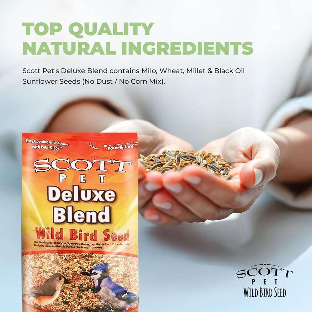 Scott Pet Wild Bird Seed, Deluxe Blend, 11 lbs Bag, No Dust, No Corn Mix, Feed, Great for All Feeder Types, Food for Outside Wild Birds - Image 4